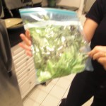 cimg1142 Vacuum packed lettuce will last DAYS longer than lettuce thrown into the crisper drawer