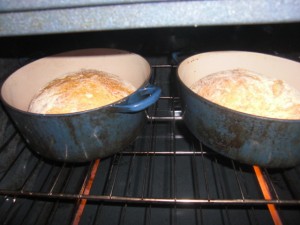 in_oven in_oven