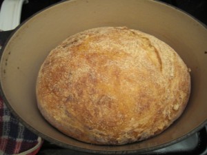 oval_with_crack oval_with_crack