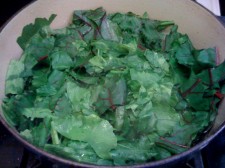 photo21