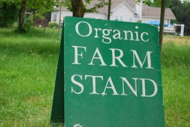 the golden earthworm organic farm reviews