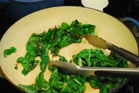 golden earthworm greens 21