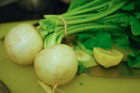 zesty turnips 8 - Version 2