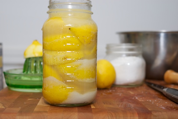 Preserved Lemons 8