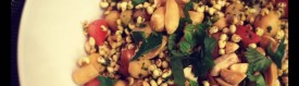 cropped-photo-12.jpg